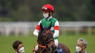 レイパパレが競走馬登録抹消