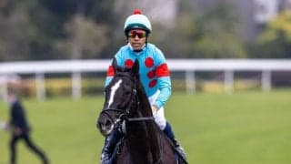 グローリーヴェイズが競走馬登録抹消