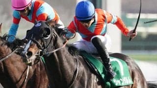 ジャンダルムが競走馬登録抹消