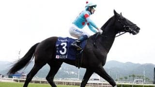 香港ヴァーズ2勝のグローリーヴェイズが競走馬登録を抹消 ブリーダーズSSで種牡馬に