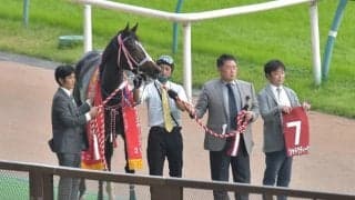 昨年の府中牝馬S覇者シャドウディーヴァが競走馬登録を抹消 繁殖牝馬に
