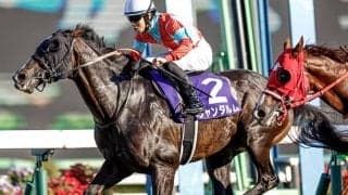 スプリンターズS覇者のジャンダルムが競走馬登録抹消 アロースタッドで種牡馬