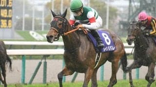 2021年の大阪杯覇者レイパパレが競走馬登録を抹消 ノーザンファームで繁殖馬に