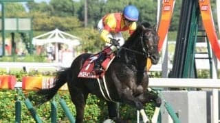 【有馬記念予想】AIの指名した侮れない伏兵、波乱を演出できるか!?