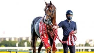 兄は『伝説の宝塚記念』の覇者 兄弟グランプリ制覇狙うボッケリーニ