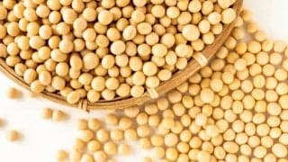 腸活の新常識「発酵性食物繊維」とは？