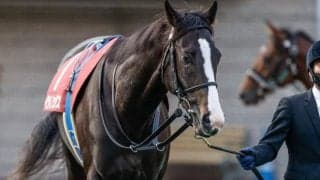 【有馬記念出走馬・騎手確定】イクイノックス＆ルメール騎手、タイトルホルダー＆横山和生騎手など16頭