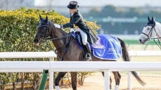 サクセスブロッケンが永眠 2009年フェブラリーSなどGI/JpnIを3勝、引退後は誘導馬として活動