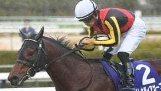 【阪神C出走馬・騎手確定】グレナディアガーズ＆C.デムーロ騎手、ダイアトニック＆岩田康誠騎手など18頭