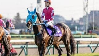 【中山大障害出走馬・騎手確定】オジュウチョウサン＆石神深一騎手、ゼノヴァース＆森一馬騎手など11頭