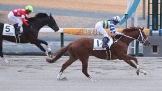 【新馬/中京5R】今村聖奈が新人騎手JRA50勝達成