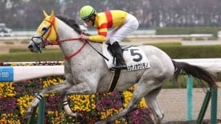 【新馬/阪神5R】8番人気の伏兵 ルンナノオクリモノがデビューV