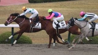 【新馬/阪神6R】マインドユアビスケッツ産駒 テンカオーライがデビューV