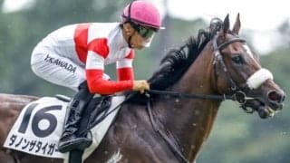 【次走】3億円馬ダノンザタイガーは引き続き川田将雅騎手と共同通信杯 その後は皐月賞・日本ダービーへ
