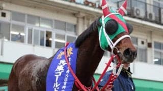 【次走】兵庫GTで重賞5勝目を挙げたラプタスは黒船賞へ