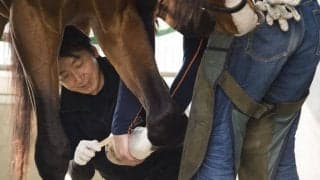 【西内荘コラム】今年はオークスに担当馬不在