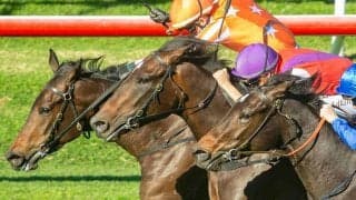 【有馬記念／データ攻略】単勝“8人気”前後に激走予告　試練を跳ね除ける「実績と舞台適性」