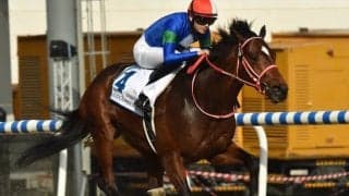 【阪神C予想】乱ペースで大荒れも？ コース形態が作りだす前傾ラップに警戒