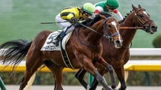 ソールオリエンスは京成杯へ 半兄はドバイで2年連続好走のヴァンドギャルド