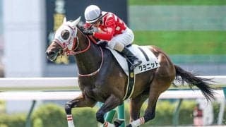 サウジアラビアRCで好走のグラニットが京成杯挑戦 嶋田純次騎手と再コンビ