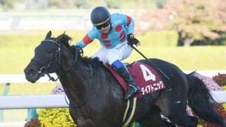 【阪神C予想】スプリンター・マイラーにとっての総決算的レース