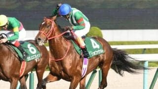 【中山大障害予想】障害のセンスのみならずスタミナや競走意欲も問われる一戦