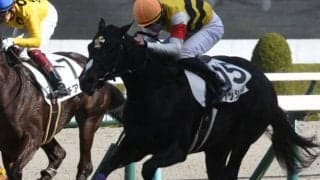 【阪神5R新馬戦結果】プッシュオンが接戦を制す