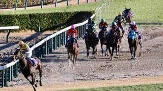 【中山大障害】絶対王者オジュウチョウサン、ラストランは6着…ニシノデイジーがV