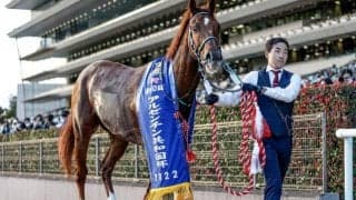 【有馬記念】16頭の香港馬名・馬名意味を紹介！ 『破空極光』『強大必勝』はどの馬？
