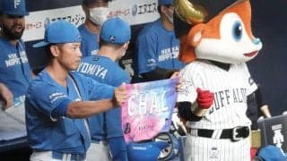 球団職員を“ガン見”…熱烈な愛が「最高」　敵コーチから元チアへ“今季の珍”に選出