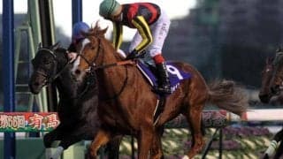 寅年は2ケタ人気がくる？ クリスマスは3歳馬が強い？ 過去66回の有馬記念データを一挙紹介！