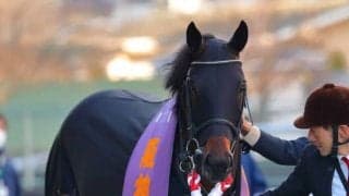 【阪神C】ダイアトニックが抜け出す！大混戦のゴール前