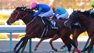 【万両賞】テラステラが連勝でオープン入り