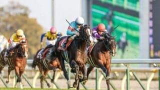 【今日の注目ポイント】一年の総決算・有馬記念で豪華メンバー競演