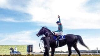 【有馬記念予想】1番人気馬の成績が良い堅調レース