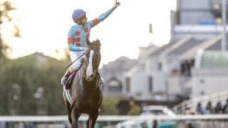 【有馬記念予想】内枠が絶対有利ではない？ 有馬記念で狙いたい人気順・ローテ・騎手とは？