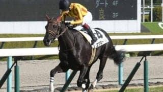 【阪神6R新馬戦結果】14番人気エクローサが内から抜け出て波乱
