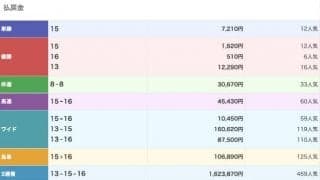 100円が864万円に！ 有馬記念当日の中山で12人気→6人気→最低人気の大波乱