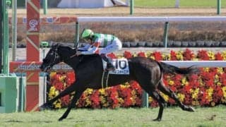 【新馬/中山6R】エフフォーリア半妹 ペリファーニアがデビューV