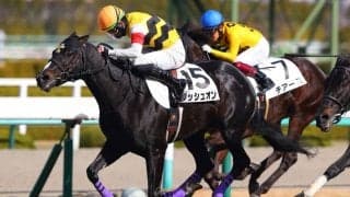 【新馬/阪神5R】キズナ産駒 プッシュオンがデビューV