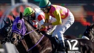 【JRA・WIN5】本日のWIN5は的中204票、配当373万9110円