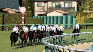 【有馬記念レース回顧】タイトルホルダーに本来の走りは見られず