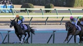 【有馬記念】横山和「期待に応えられず申し訳ない」レース後ジョッキーコメント