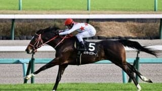 【ホープフルS登録馬】ミッキーカプチーノなど19頭