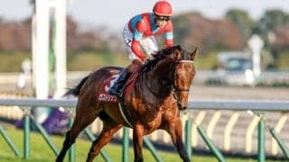 【ホープフルS見どころ】東スポ杯覇者ガストリックの無傷3連勝なるか