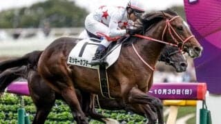 【ホープフルS枠順確定】ミッキーカプチーノは8枠18番、ガストリックは5枠10番