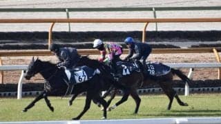 モントライゼの半弟スカーズが初陣迎える/関西馬メイクデビュー情報