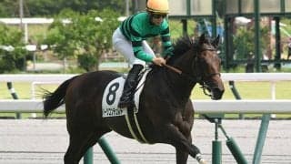 【AI予想・ホープフルS】豪脚一閃の末脚でリベンジ達成か!? 2022年GI最終決戦で狙える馬とは