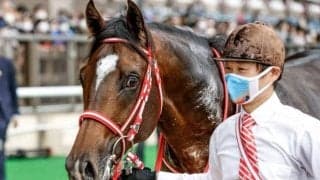 【ホープフルS予想オッズ】ミッキーカプチーノが予想1番人気