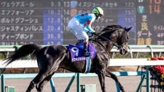 文句なしの名配合 更なる成長見込める傑作イクイノックス